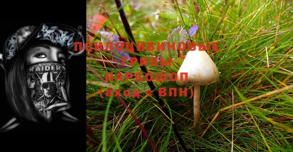 шишки Абдулино