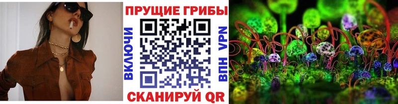 hydra зеркало  Пудож  Галлюциногенные грибы ЛСД  дарнет шоп 